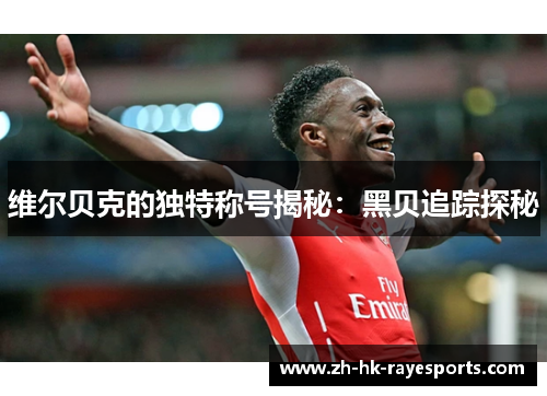 维尔贝克的独特称号揭秘:黑贝追踪探秘 维尔贝克的独特称号揭秘:黑贝追踪探秘