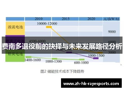 费南多退役前的抉择与未来发展路径分析